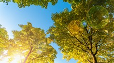 Po upršaných dňoch príde na konci týždňa pozitívna zmena