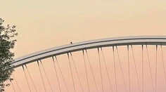 Máme foto Spidermana! Čitateľ nám poslal fotku muža, ktorý sa prechádzal po moste Apollo