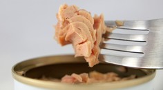 Test tuniakov v konzerve. Ten najdrahší nemusí byť aj najlepší