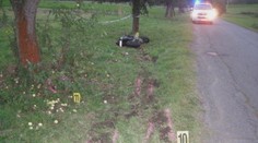 Niekto sa pomstil za smrť motorkára. Vyrúbal desiatky stromov pri ceste