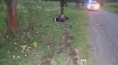 Niekto sa pomstil za smrť motorkára. Vyrúbal desiatky stromov pri ceste