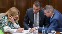 Pre agrokauzu padali hlavy: Matečnej rezort podáva trestné oznámenie pre podvod