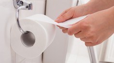 Hlavný inšpektor rakúskej polície kradol v práci toaletný papier. Avšak vyberal si len ten kvalitnejší