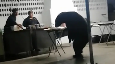 VIDEO: Medveď vydesil účastníkov párty. Kuchári sa bezmocne prizerali, ako sa pustil do jedla