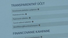 Transparency International hodnotila kampane pred eurovoľbami. Najlepšie skončili PS či KDH, najhoršie Hlas a Smer