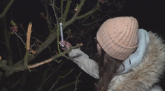 Ovocinári celé noci nespali, chceli si zachrániť úrodu. Už je jasné, aké škody mrazy napáchali