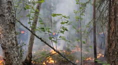 Lesné požiare v Rusku sa opäť zväčšili. Z viacerých miest hlásia zlú kvalitu ovzdušia