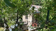 Streľba na bratislavských hasičov odhalila desivé tajomstvo! V piecke našli ľudskú hlavu