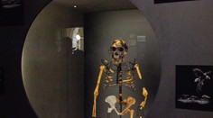 FOTO: V Prahe vystavili najslávnejšie fosílie sveta. „Prateta ľudstva“ je v Európe prvýkrát