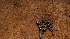 Svet čelí najväčšej humanitárnej kríze od roku 1945. Hladuje 20 miliónov v 4 krajinách