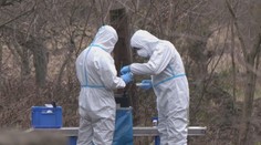 Arzenál zbraní aj návody na výrobu výbušnín. Košický MacGyver šíril hrôzu, teraz prišiel zvrat