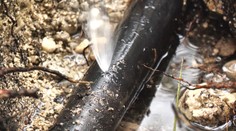 Spôsobil im nemalé problémy s vodou. V obci Hlboké nad Váhom niekto zámerne poškodil vodovodné potrubie