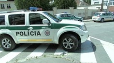 Viete, ako sa máte správať pri policajnej kontrole?