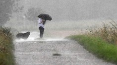 SHMÚ upozorňuje na silný dážď vo veľkej časti Slovenska