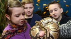 Košická zoo chystá tri novinky, návštevníci sa môžu tešiť aj na novú expozíciu