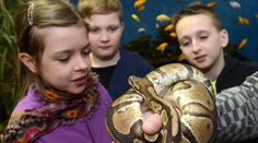 Košická zoo chystá tri novinky, návštevníci sa môžu tešiť aj na novú expozíciu