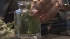 Trápi vás boľavé hrdlo či chrípka? Skúste tieto domáce recepty