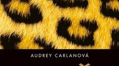 Luxusná eskortná spoločnosť! Prečítajte si jej pravidlá