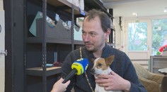 Štvornohý influencer: Vďaka sučke Pampi si domov našli ďalšie psy z útulku