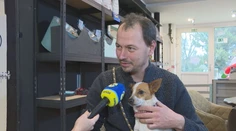 Štvornohý influencer: Vďaka sučke Pampi si domov našli ďalšie psy z útulku
