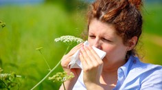 Kýchanie, červené oči a tečúci nos – sezóna alergií je tu. Ako sa môžete proti nim efektívne brániť?