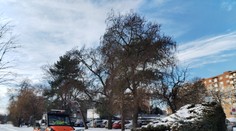 Sneženiu ešte neodzvonilo. Poriadne prituhne, teplota môže klesnúť na mínus 20