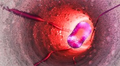 V Británii identifikovali nový kmeň nebezpečného vírusu. Lekári a odborníci sú znepokojení