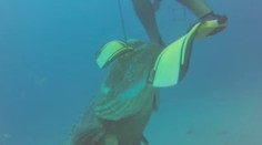 Desia vás žraloky? To ste ešte nevideli toto monštrum