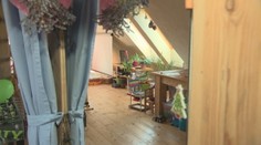 Za pár šupov si postavil funkčný ekologický dom. Dnes sa k nemu chodia učiť architekti