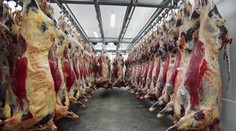 Po škandále s mäsom pristúpilo Poľsko k ráznemu kroku