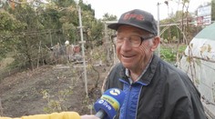 Októbrové počasie je ako na hojdačke. 85-ročný záhradkár na babie leto nečaká. Čo na to hovorí meteorologička?