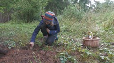 S hubami sa tento rok lúčiť ešte netreba. Pochúťkou sú aj také, ktoré pozná málokto