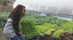 Záhradkári z juhu Slovenska vám poradia, kedy sadiť. Na niektoré druhy je ešte priskoro