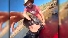 VIDEO: Žralok ho pripravil o nohu. Talian zverejnil desivé zábery a prezradil, ako sa mu podarilo prežiť