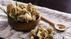 Francúzska delikatesa, ktorá rastie aj u nás v lesoch. Vyskúšajte úžasné recepty zo smrčkov