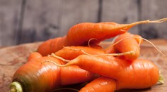 Známy reťazec oddnes predáva zdeformovanú zeleninu a ovocie o pätinu lacnejšie