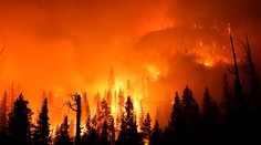 Požiare v Kalifornii už zasiahli plochu vyše 8-tisíc kilometrov štvorcových