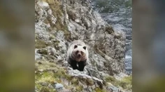 Medveď prekvapil skupinu pri výstupe na Rysy. Horský vodca nám opísal, čo sa dialo