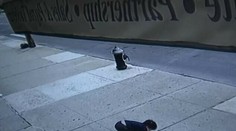 Chlapček (3) s Downovým syndrómom vypadol z 5. poschodia. Život mu zachránila markíza