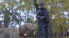 Chlapec (9) spôsobil na internete ošiaľ. Vďaka jednej fotografii sa mu splnil sen