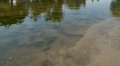 V rieke Tisa v Maďarsku sa utopili deti