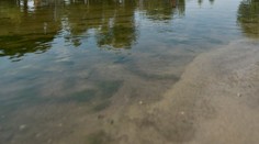 Dvaja mladíci utopili 54-ročného muža v Ciroche