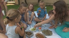 Navštívili sme slovenské vegánske rodiny. Má táto strava dostatok potrebných živín pre deti?