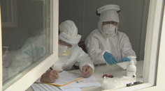 Momky ako biznis: Niektorí prevádzkovatelia na nich počas pandémie zbohatli