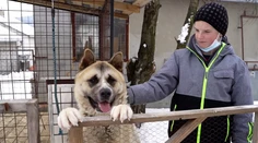 Riko sa stratil na Silvestra. Po dlhých týždňoch sa ho vytrvalej rodine podarilo nájsť