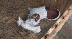 Neštítia sa už ničoho. Vandali zničili zvieratá v Betleheme v Giraltovciach