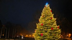 V hlasovaní mu iba tesne ušlo prvenstvo. S vianočným stromčekom z Humenného sa spája dojemný príbeh