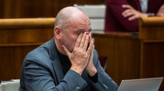 Snahy SaS o návrat do vlády sa skončili, strana je pripravená rokovať o predčasných voľbách