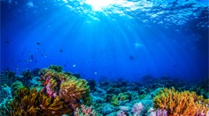 Zázrak na dne oceánu. Vedci našli organizmy, ktoré môžu zachrániť ľudstvo