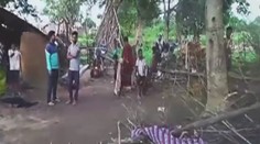 Desivý útok slona: Zviera zbúralo stenu, z domu vytiahlo dieťa a zabilo ho